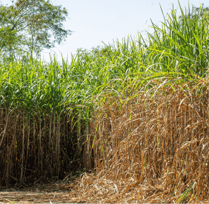 about-us-information